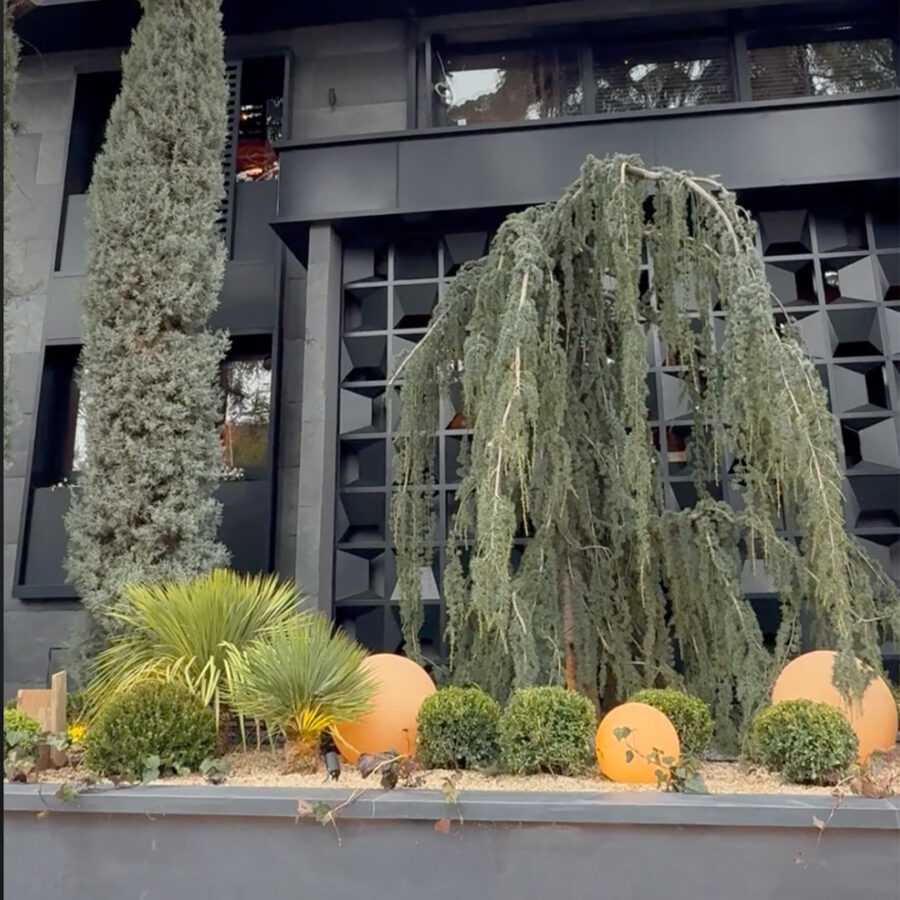 ETİLER FİKO RESTORAN